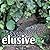 elusive: Leopards in Africa