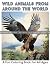 WILD ANIMALS FROM AROUND TH...