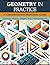 Geometry in Practice: A Com...