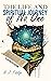 The Life and Spiritual Journey of No One by R.J. Fidalgo