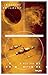 Все эти миры (Наш выбор)
