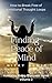 Finding Peace of Mind by Nicky Hamid
