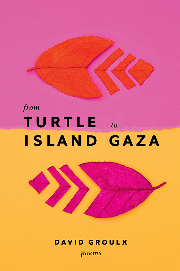 From Turtle Island to Gaza (Paperback)