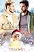 A Christmas Wish Gay Holiday Romance by Trina Solet