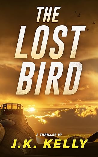 The Lost Bird: A High-Stakes Heist Thriller Involving a Stolen WWII Bomber