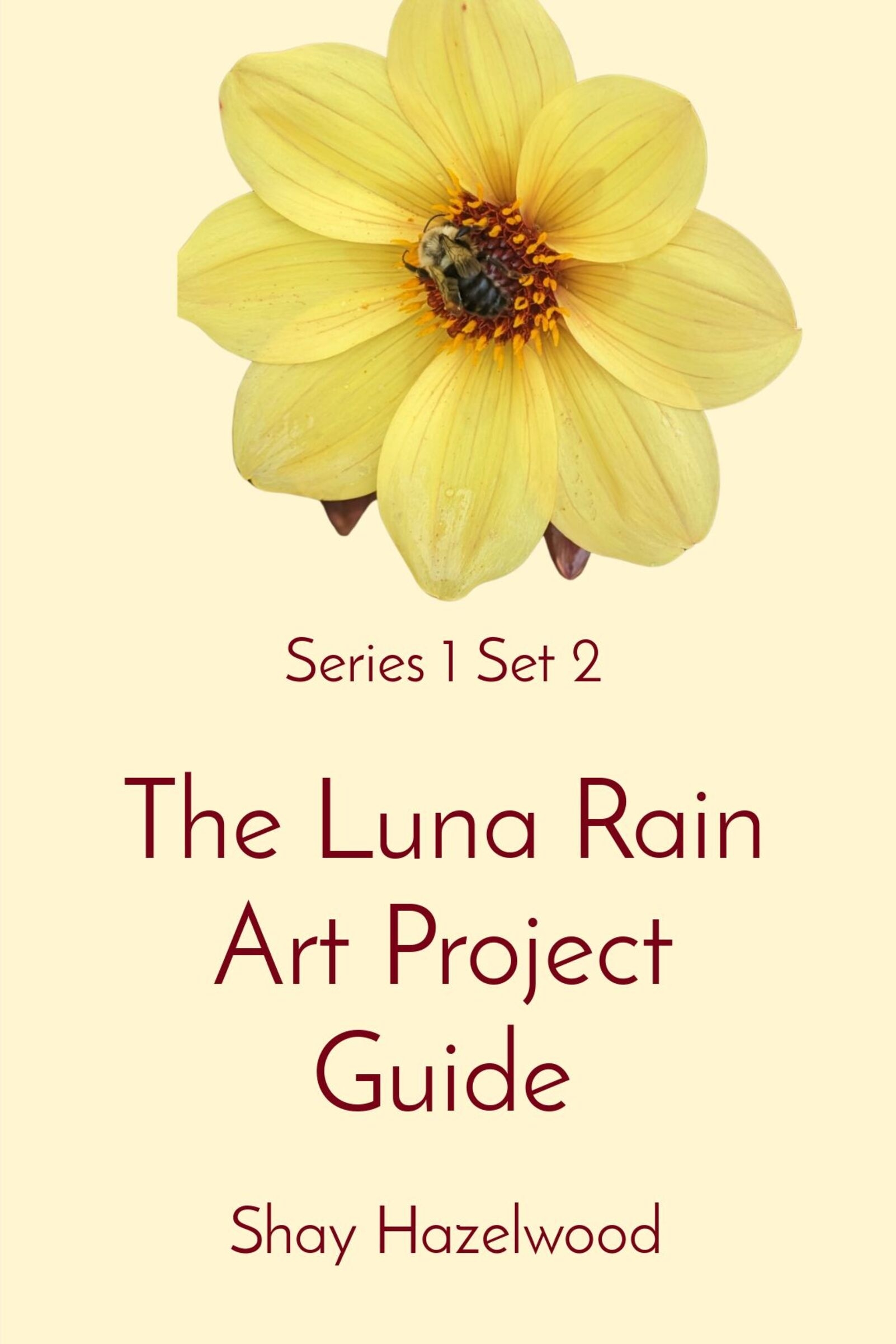 The Luna Rain Art Project
