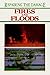 Fires and Floods (Repairing the Damage)