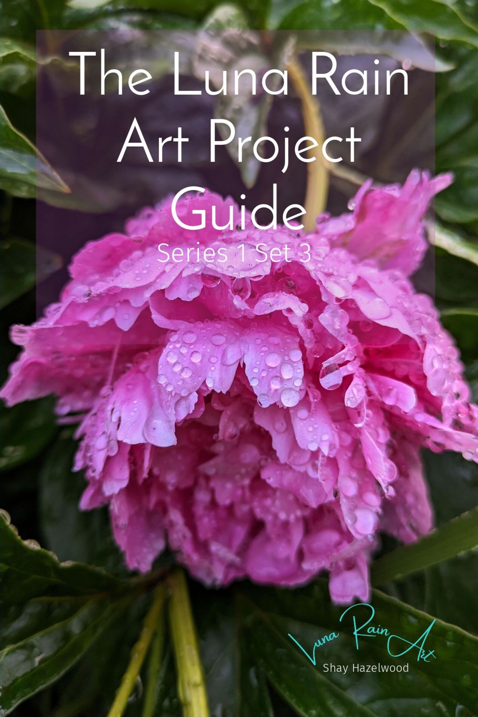 The Luna Rain Art Project