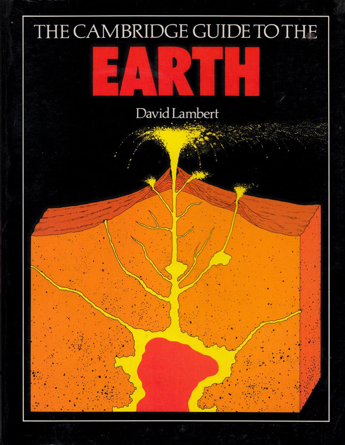 The Cambridge Guide to the Earth (Paperback)
