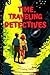 Time Traveling Detectives by Stephen Daniel