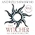 The Tower of Swallows (The Witcher, #4)