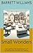 Small Wonders: Navigating t...