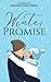 A Winter Promise by J.E. Feldman
