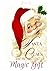 Santa Claus and The Magic Gift