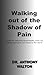 Walking out of the Shadow o...
