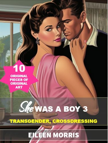 She was a Boy 3: TRANSGENDER, Crossdressing (Kindle Edition)