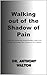Walking out of the Shadow o...