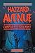 Hazzard Avenue: Book 4 (A G...