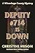 Deputy #714 Is Down: A Winnebago County Mystery