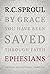 Ephesians: An Expositional Commentary