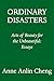Ordinary Disasters: How I Stopped Being a Model Minority