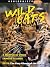 Wild Cats 6 Pack