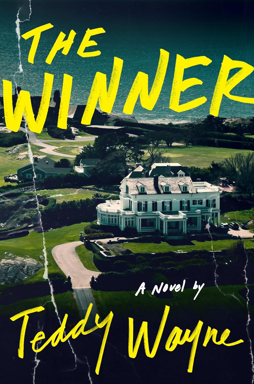 The Winner (Hardcover)