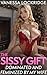The Sissy Gift: Feminized b...