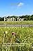 Faith for Tomorrow: Devotio...