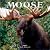 Moose 2003 Calendar