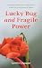 Lucky Bug and Fragile Power: Inventing Safety, Love, and Success in the Contradictions of Abuse