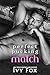 Perfect Pucking Match
