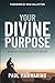 Divine Purpose: An ‘apostolic’ FIELD GUIDE for EVERY BELIEVER