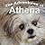 The Adventures of Athena