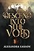 Descend into the Void (Dark Perceptions, #2)