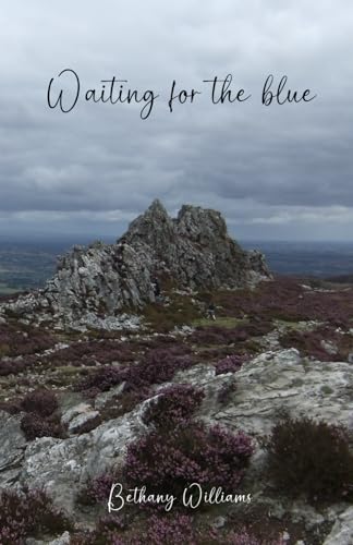 Waiting for the blue (Paperback)
