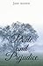 Pride and Prejudice: The 1813 romantic novel that transcends classic love story