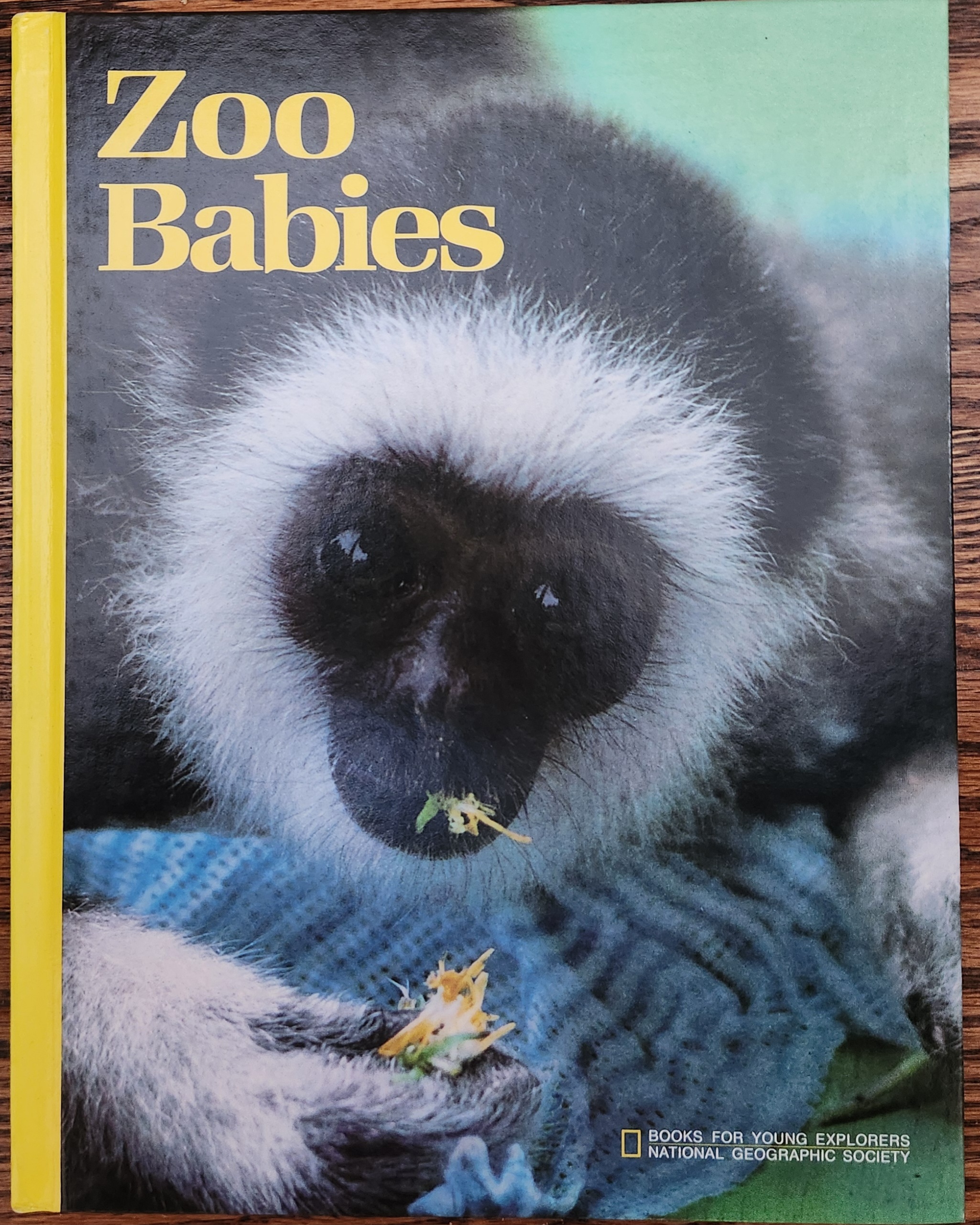 Zoo babies (Books for young explorers)