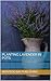 Planting Lavender in Pots