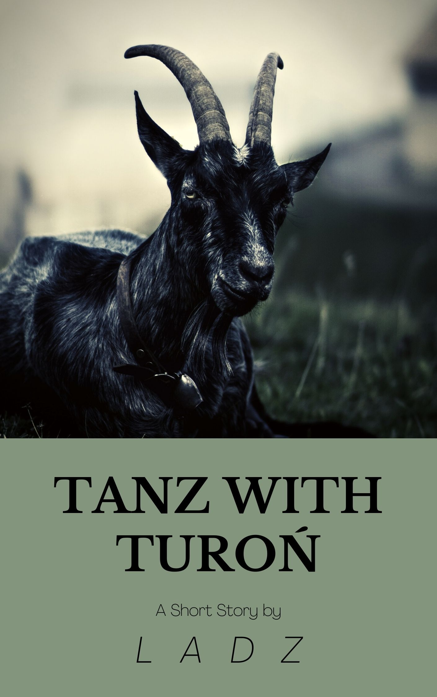 Tanz with Turoń