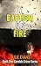 A Baptism of Fire: A Grippi...