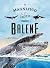 Il magnifico libro delle balene by Eliseo García Nieto