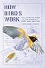 How Birds Work: An Illustrated Guide to the Wonders of Form and Function—from Bones to Beak (How Nature Works)