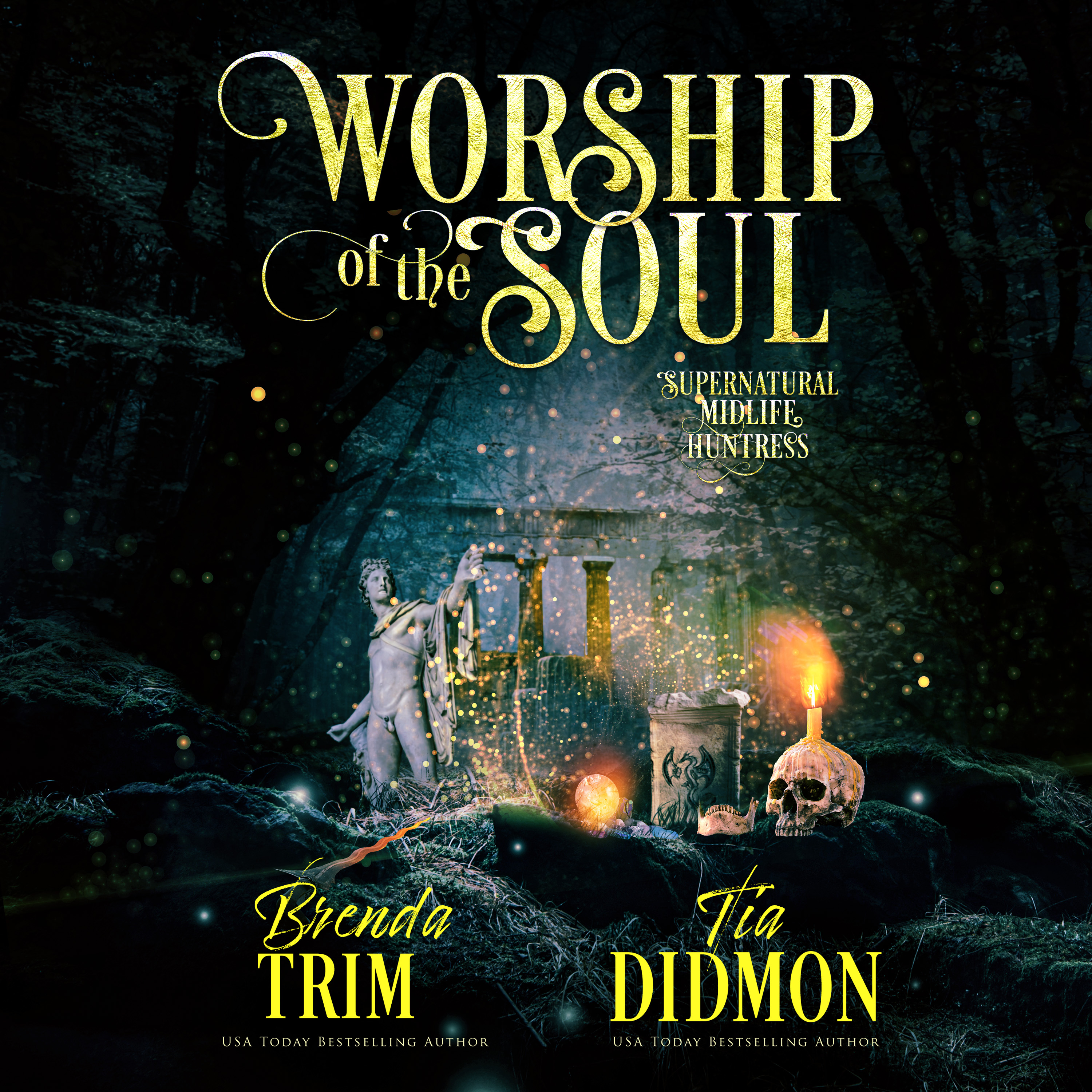 Worship of the Soul (Shrouded Nation #15)