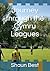 Journey through the Cymru Leagues