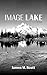 Image Lake: A Novel