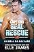 Cape Cod SEAL Rescue: Un SEAL da Salvare (Brotherhood Protectors (Italiano) Vol. 10) (Italian Edition)