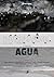 Invernasímil: Agua