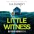 Little Witness (DI Tessa Burns, #1)