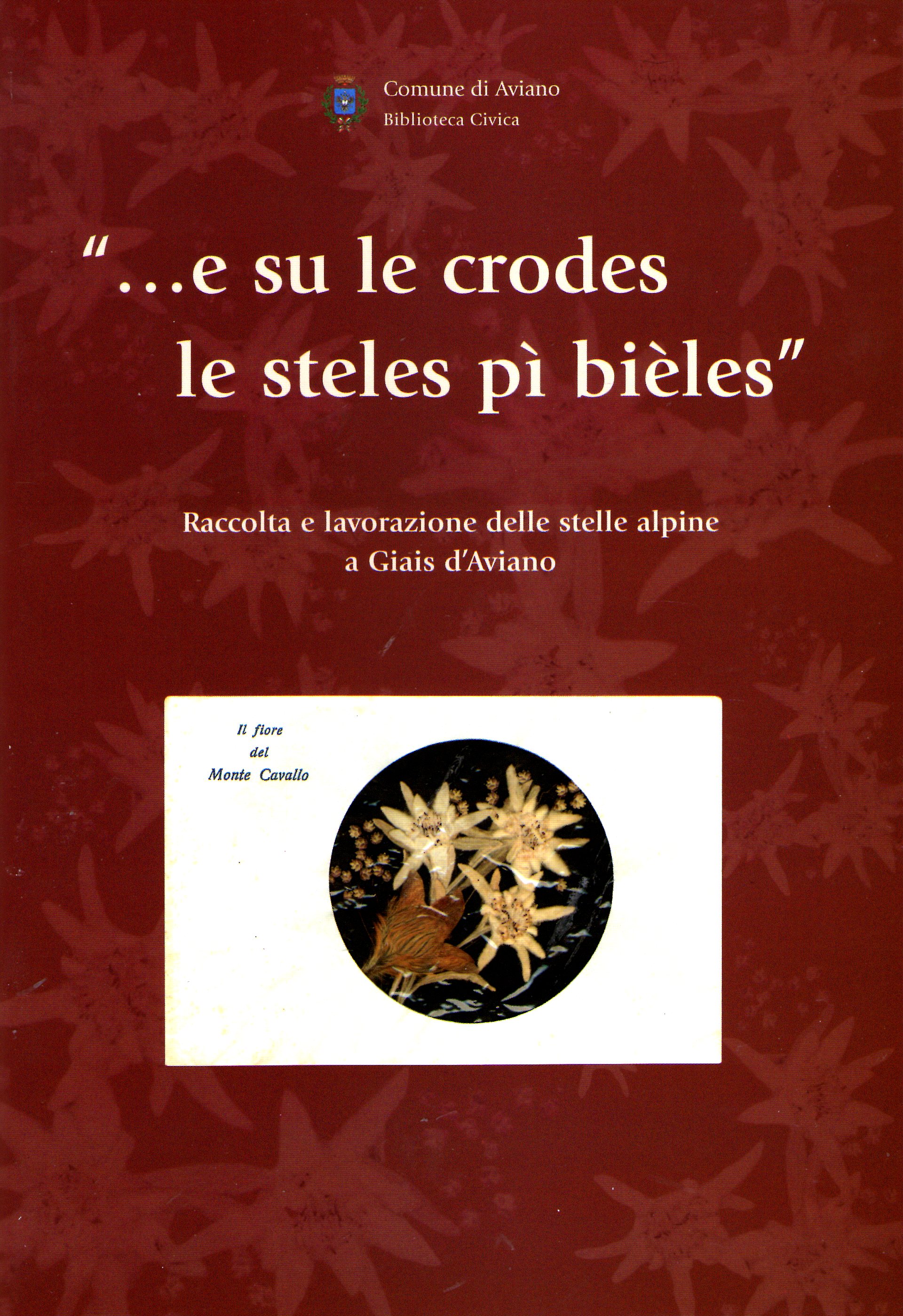 "...e su le crodes le steles pì bièles": Raccolta e lavorazione delle stelle alpine a Giais di Aviano (Paperback)